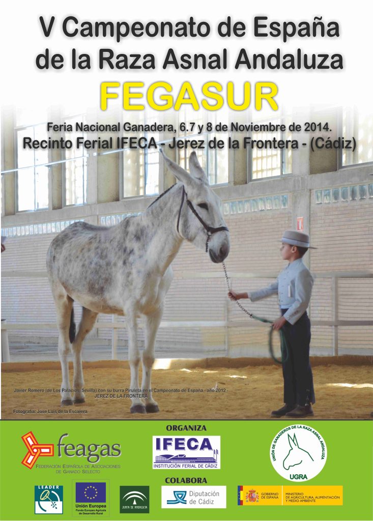 CARTEL - V CAMPEONATO DE ESPAÑA-  2014 RAZA ASNAL ANDALUZA