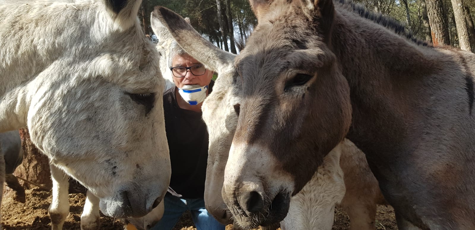 UGRA raza asnal andaluza Parcual Rovira