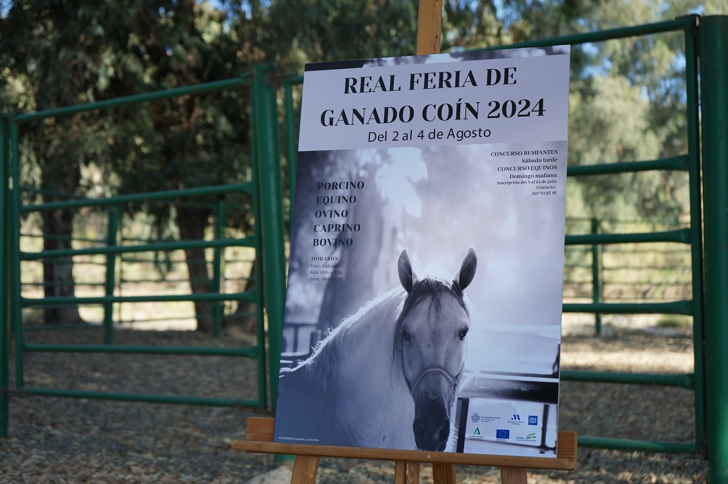 Real feria de ganado Coín 2024 UGRA